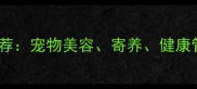 北京专业宠物工作室推荐宠物美容寄养健康管理的全方位服务指南