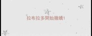 拉布拉多開始撒嬌