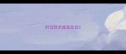 打过狂犬疫苗反应