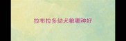 拉布拉多幼犬粮哪种好