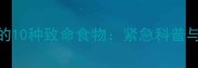 宠物狗不能吃的10种致命食物紧急科普与科学喂养指南