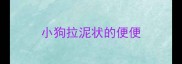 小狗拉泥状的便便