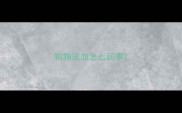 狗狗流血怎么回事