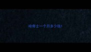 哈奇士一个月多少钱