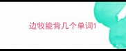 边牧能背几个单词