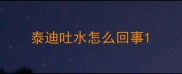 泰迪吐水怎么回事