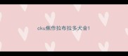 cku焦作拉布拉多犬舍