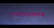 拉布拉多经常抽搐
