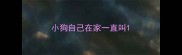 小狗自己在家一直叫
