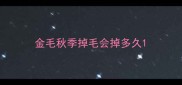 金毛秋季掉毛会掉多久