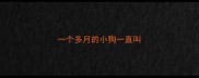 一个多月的小狗一直叫