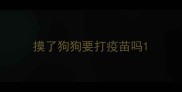 摸了狗狗要打疫苗吗