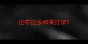 拉布拉多和狗打架