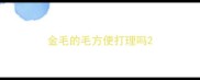 金毛的毛方便打理吗
