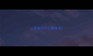 公泰迪为什么要绝育