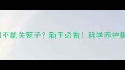 边牧幼犬2个月不能关笼子新手必看科学养护指南与禁忌清单