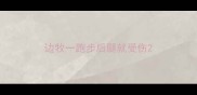 边牧一跑步后腿就受伤