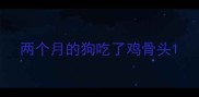 两个月的狗吃了鸡骨头