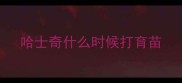 哈士奇什么时候打育苗