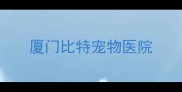 厦门比特宠物医院