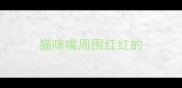 猫咪嘴周围红红的