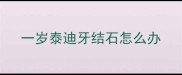 一岁泰迪牙结石怎么办