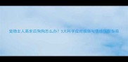 宠物主人离世后狗狗怎么办3大科学应对措施与情感抚慰指南