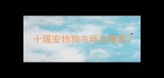 十堰宠物狗市场在哪里