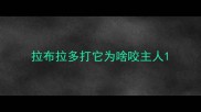 拉布拉多打它为啥咬主人