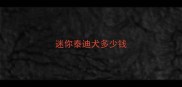 迷你泰迪犬多少钱