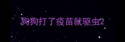 狗狗打了疫苗就驱虫