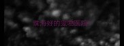 珠海好的宠物医院