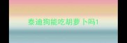 泰迪狗能吃胡萝卜吗