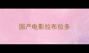 国产电影拉布拉多