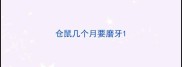 仓鼠几个月要磨牙