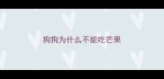 狗狗为什么不能吃芒果