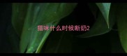 猫咪什么时候断奶