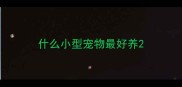 什么小型宠物最好养