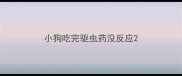 小狗吃完驱虫药没反应