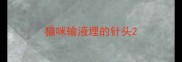 猫咪输液埋的针头