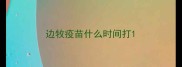 边牧疫苗什么时间打