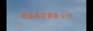 泰迪感冒要多少钱