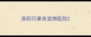 洛阳贝康美宠物医院