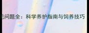 拉布拉多幼犬常见问题全科学养护指南与饲养技巧附症状对照表