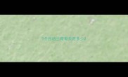 9个月哈士奇每天吃多少