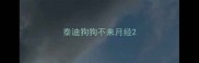 泰迪狗狗不来月经