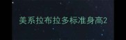 美系拉布拉多标准身高