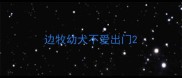 边牧幼犬不爱出门