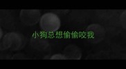 小狗总想偷偷咬我