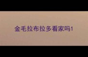 金毛拉布拉多看家吗